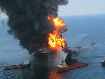 Impact of the Deepwater Horizon well blowout on the economics of US Gulf fisheries