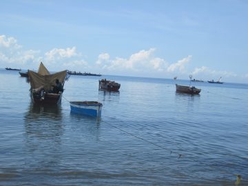 Economic Viability for Small-Scale Fisheries, Workshop Summary