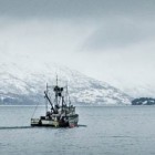 Temporary ban on fishing reflects how fragile Arctic ecosystem is