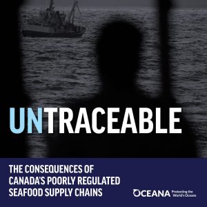 Oceana: Untraceable: The Consequences of Canada’s Poorly Regulated Supply Chain